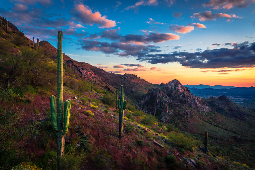 Arizona scenic